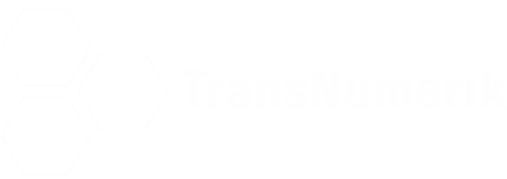 Logo TransNumerik blanc