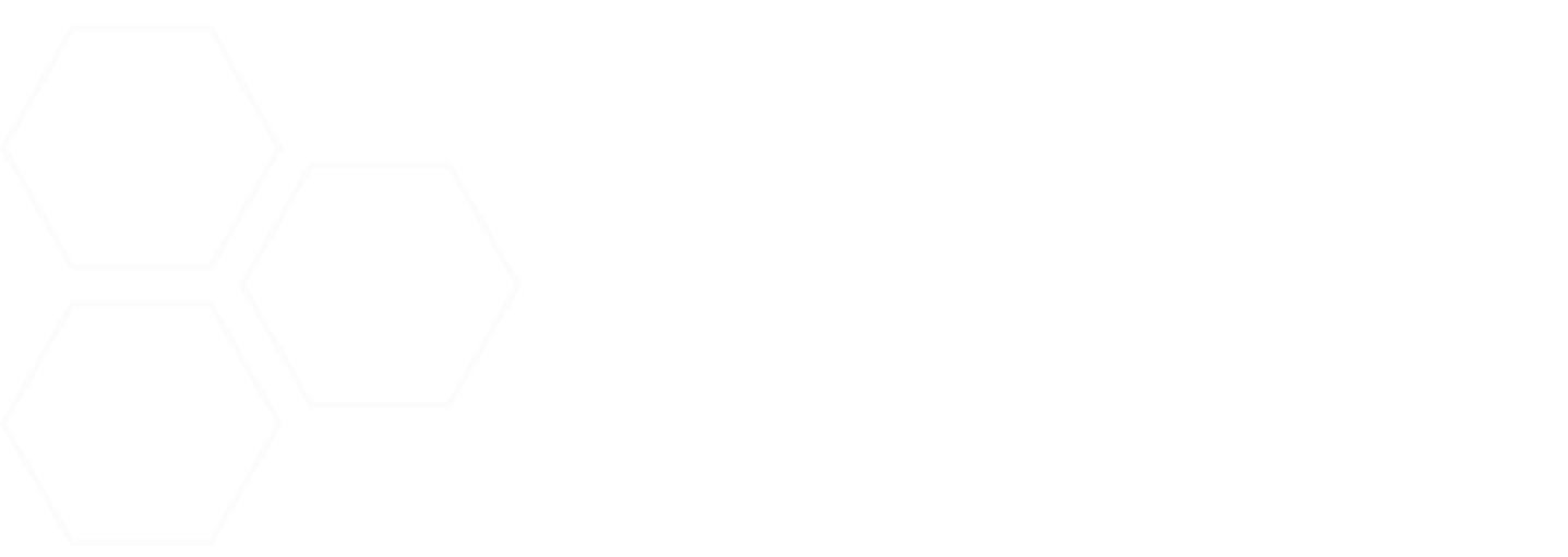 Logo TransNumerik blanc