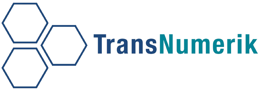 LOGO-TransNumerik sans fond