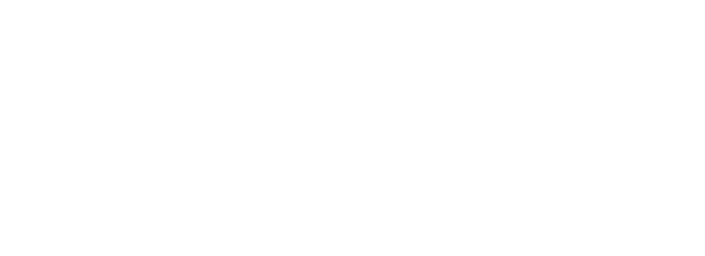 LOGO de TransNuerik