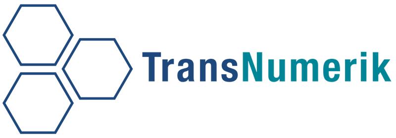 LOGO TRANSNUMERIK