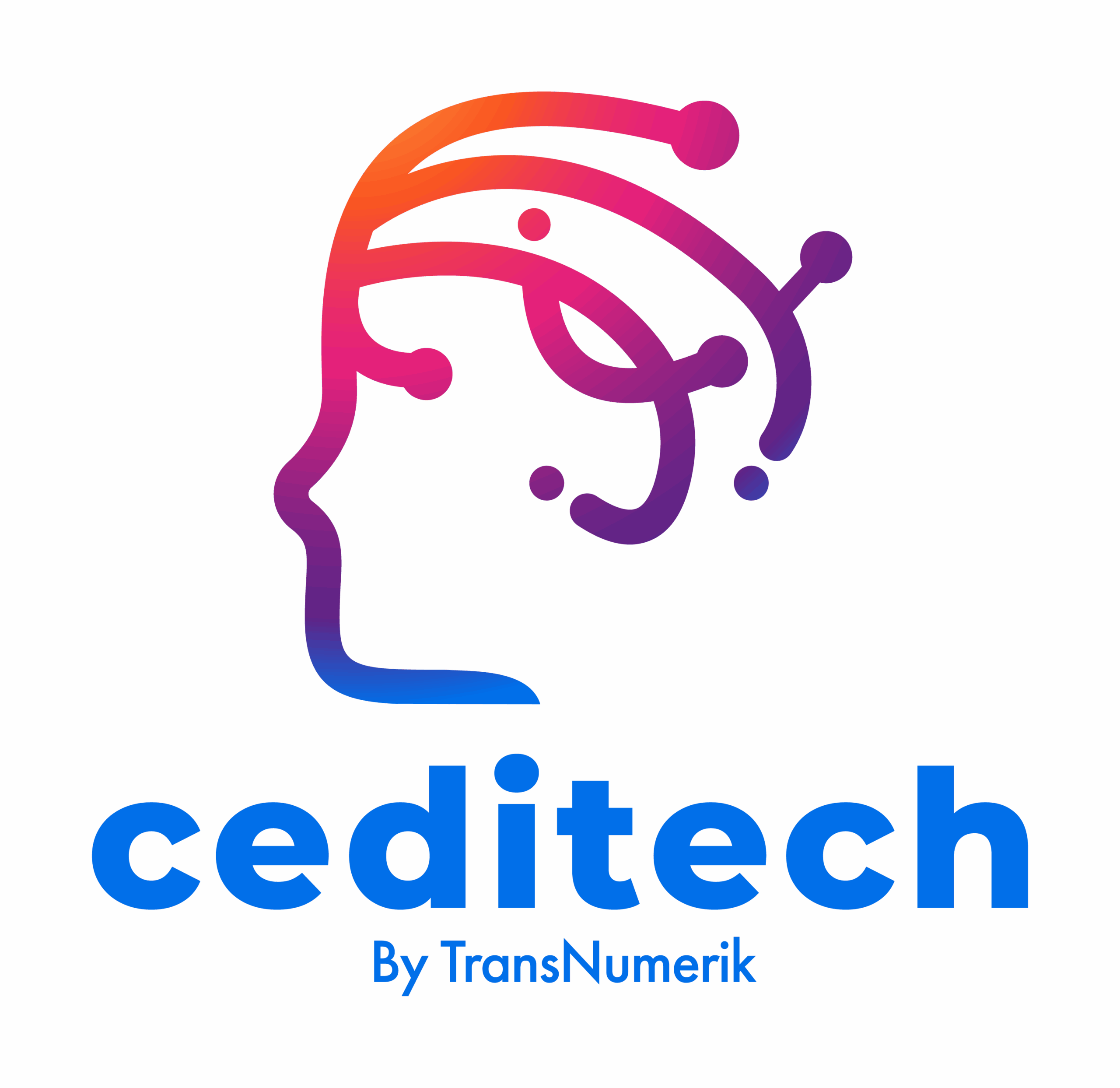 Logo CEDITECH by TransNumerik
