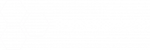 TransNumerik_logo white 1